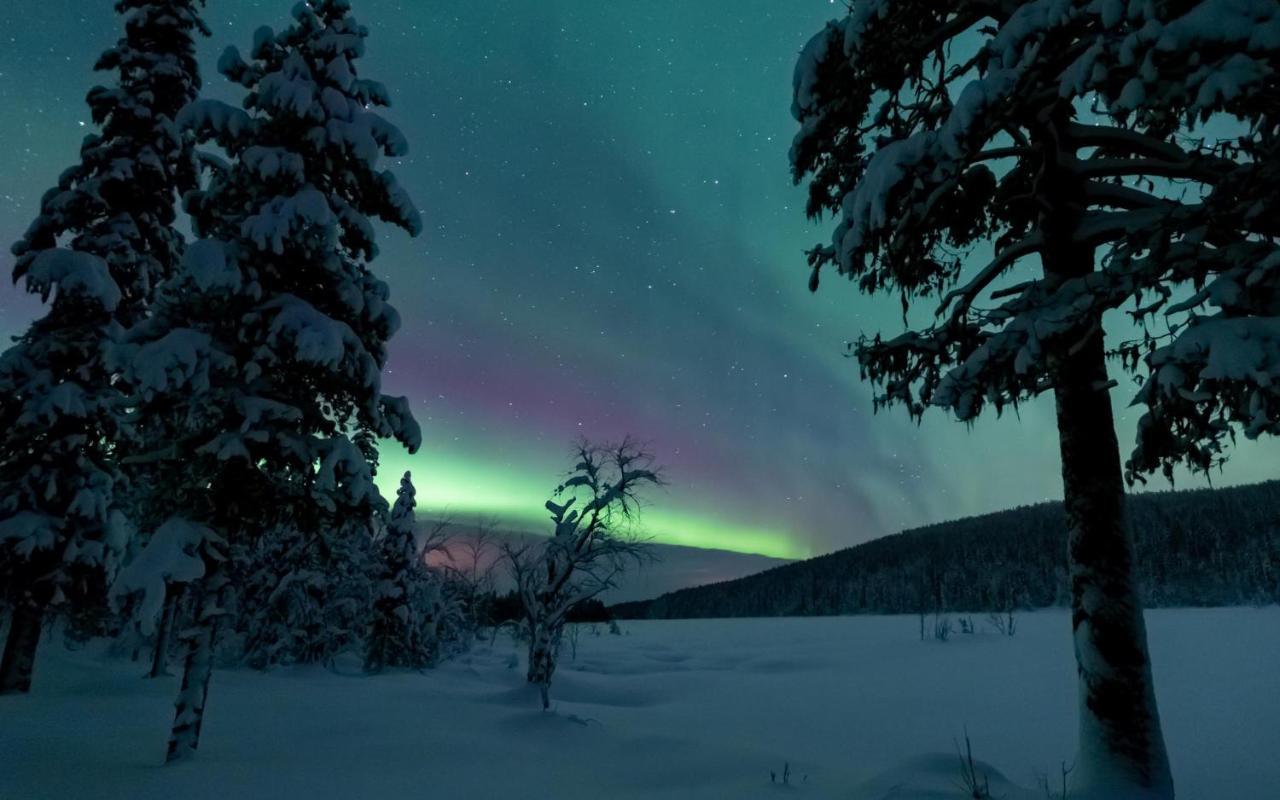 Arctic Skylight Lodge Äkäslompolo Zewnętrze zdjęcie